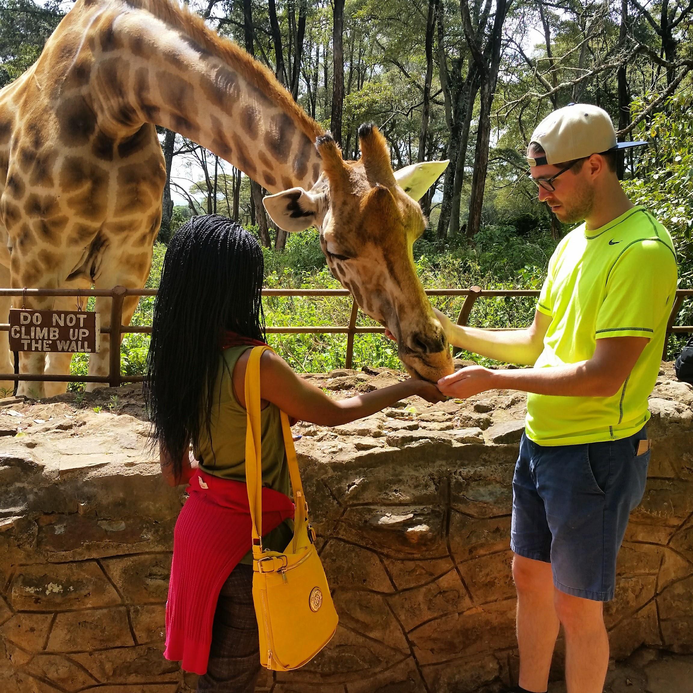 Karen, Kenya : We fed giraffes at the Giraffe center in Kenya. After this, we visited the Karen Blixen gardens , home of the Danish author, best known for  her authorship of 'Out of Africa'.