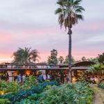 Flora Farms