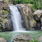 El Yunque National Forest
