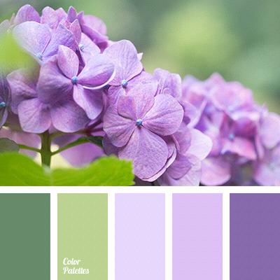 Our wedding colors