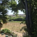 Page Springs Cellars
