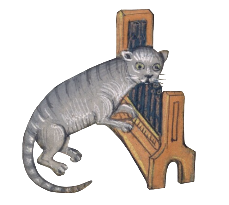 The Wedding Website of Kimberly May Stever and David Miguel Rowan Troncoso