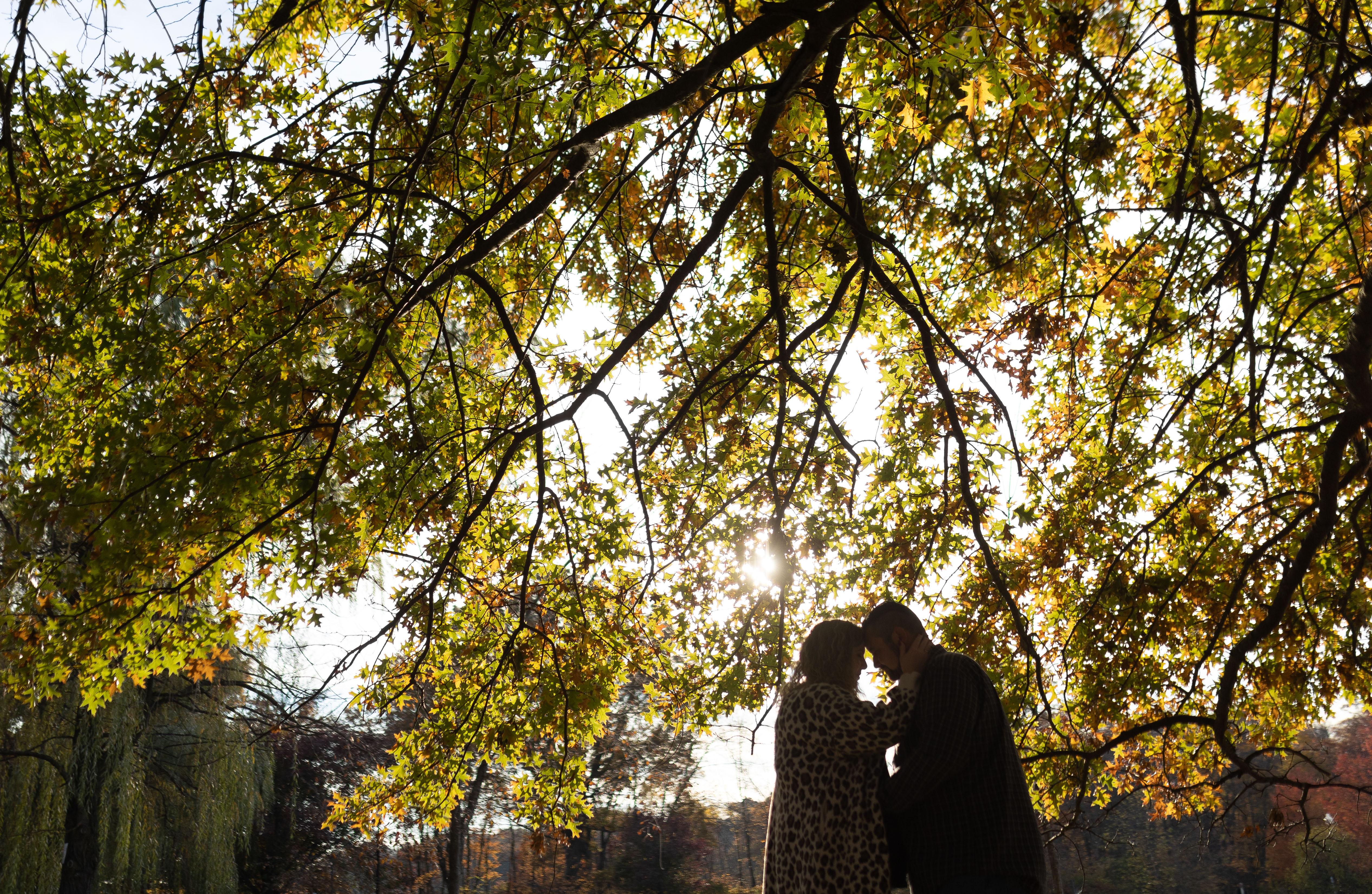 The Wedding Website of Meghan Schreck and Matthew Foley