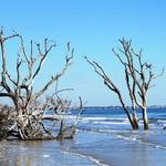 Botany Bay
