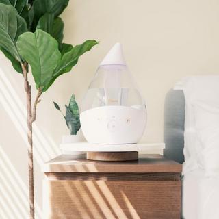 Cool Mist Humidifier with Sound Machine