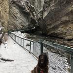 Johnston Canyon