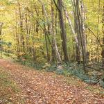 New Marlboro Preserve