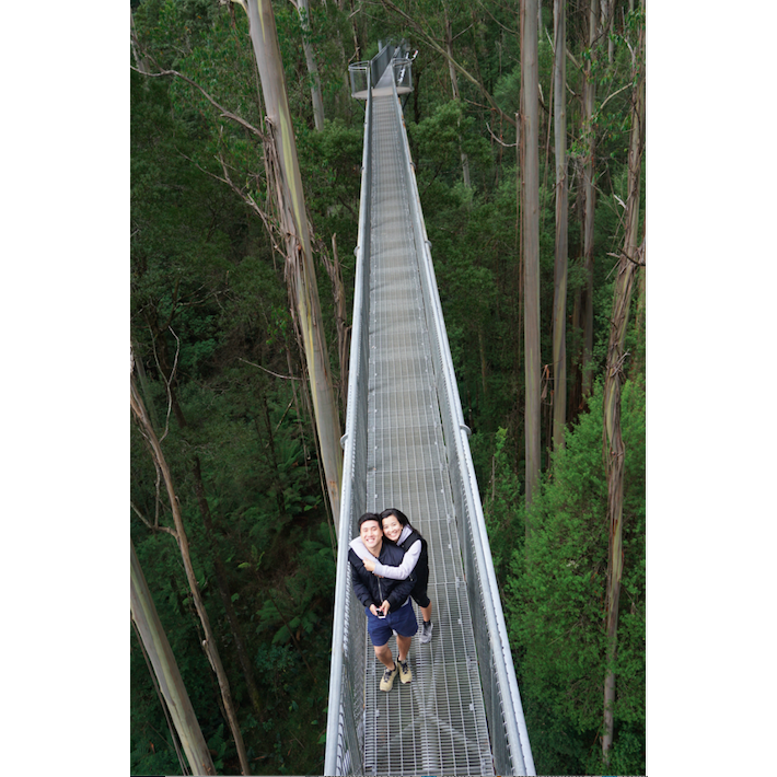 2016, Otway National Park Tree Top Walk