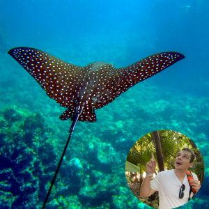 Honeymoon: Brian's Day Trip to Isla Tortuga!