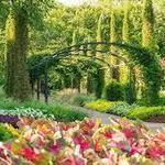 Cheekwood Estate and Gardens🌼