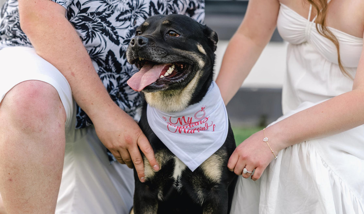 The Wedding Website of Ashley Jayroe and Kenny Brown