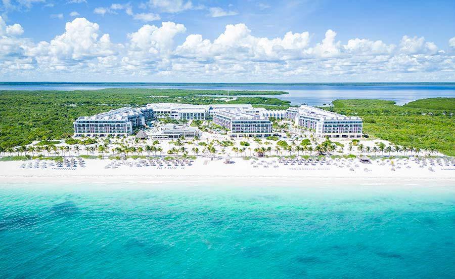 The Wedding Website of Billy Davidson Jr and Dynesha Newton