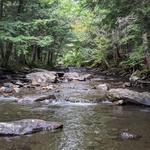 Mill Trail