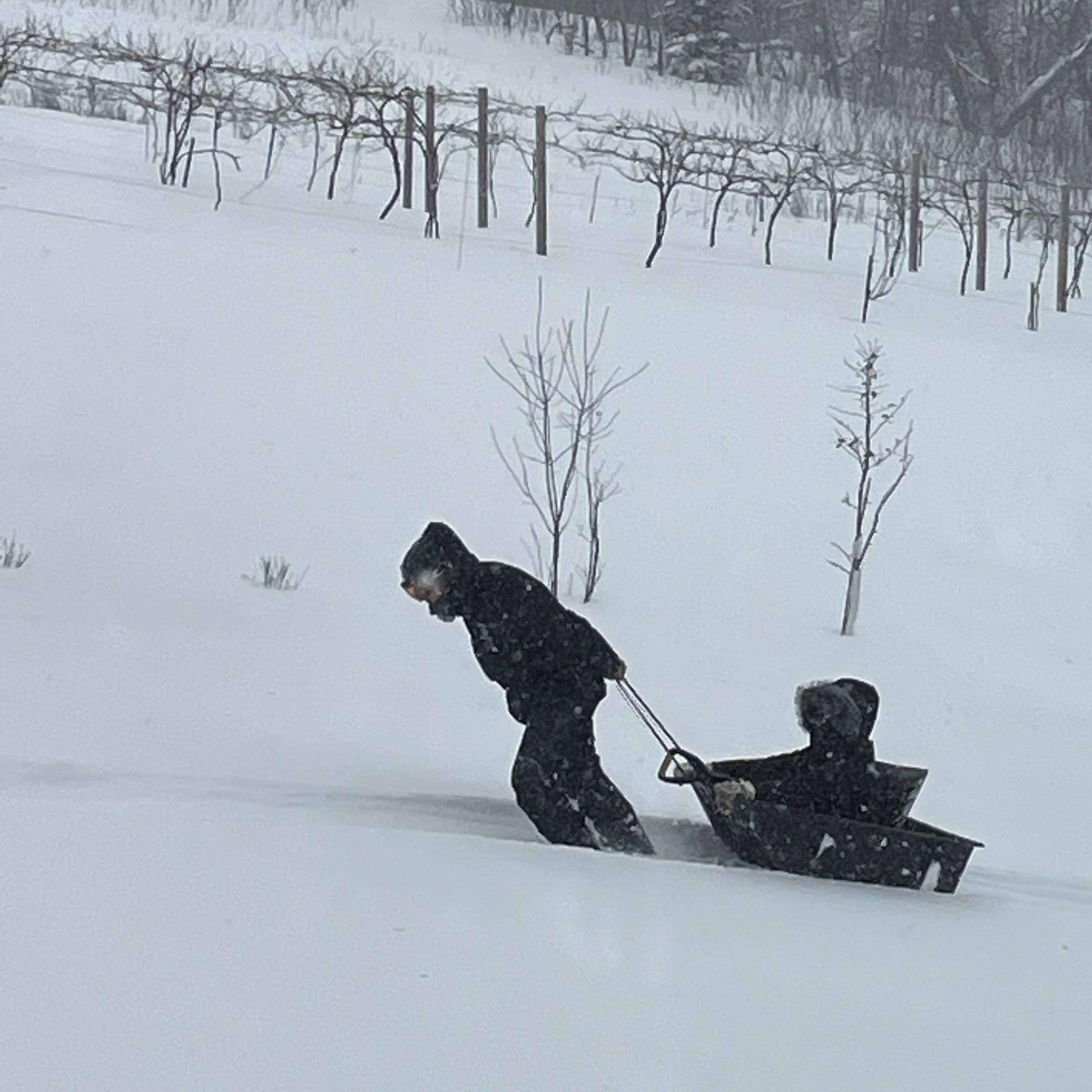 Ross' winter workout at the cabin
