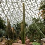 Mitchell Park Domes