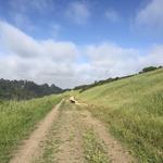 Tilden Regional Park