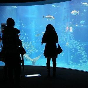 Osaka Aquarium
