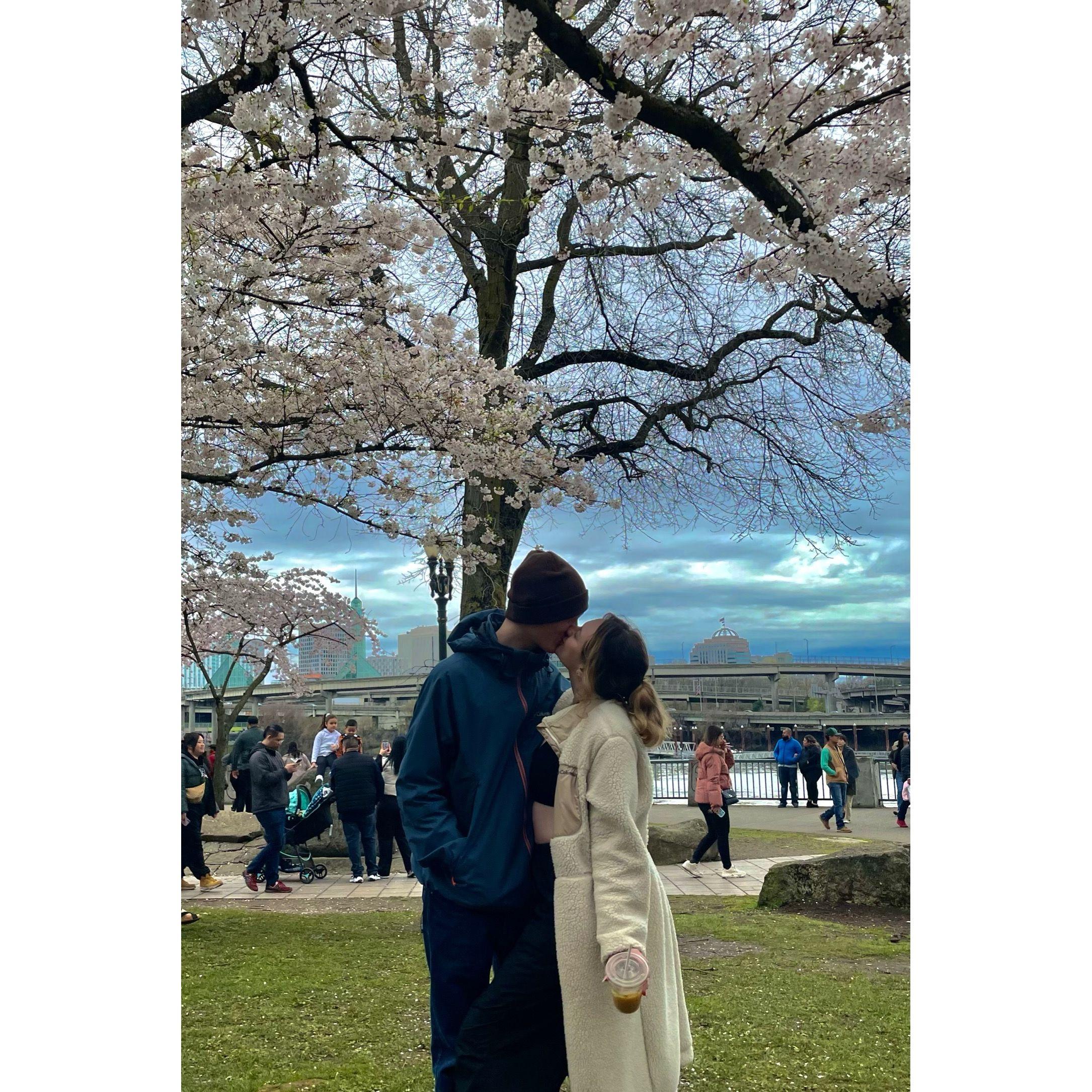 Portland Sakura Blossom Festival 2023