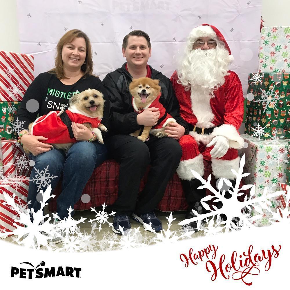 Our Family Christmas picture! We love our pups!