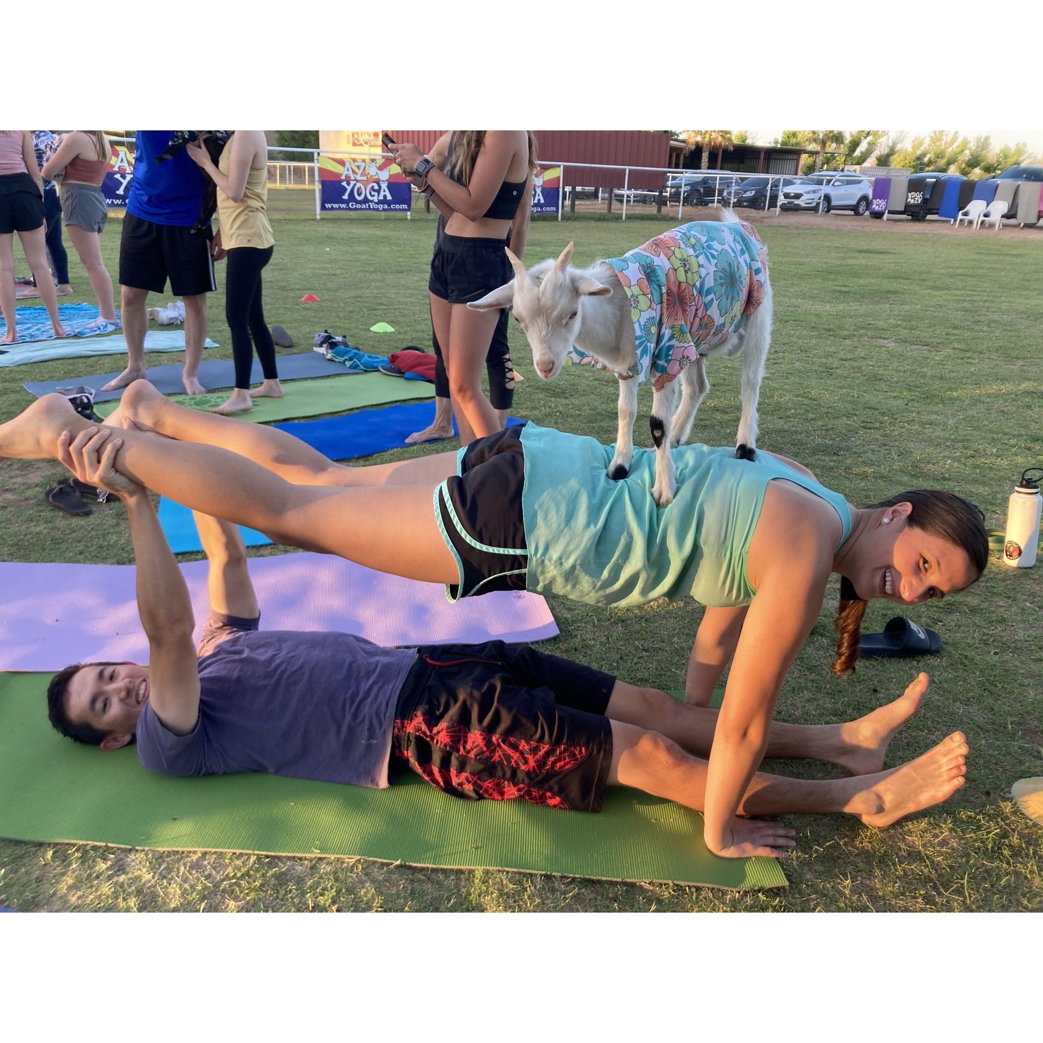 Goat Yoga!