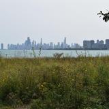 Montrose Point Bird Sanctuary