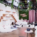 Crumbs & Whiskers | Kitten & Cat Cafe.
