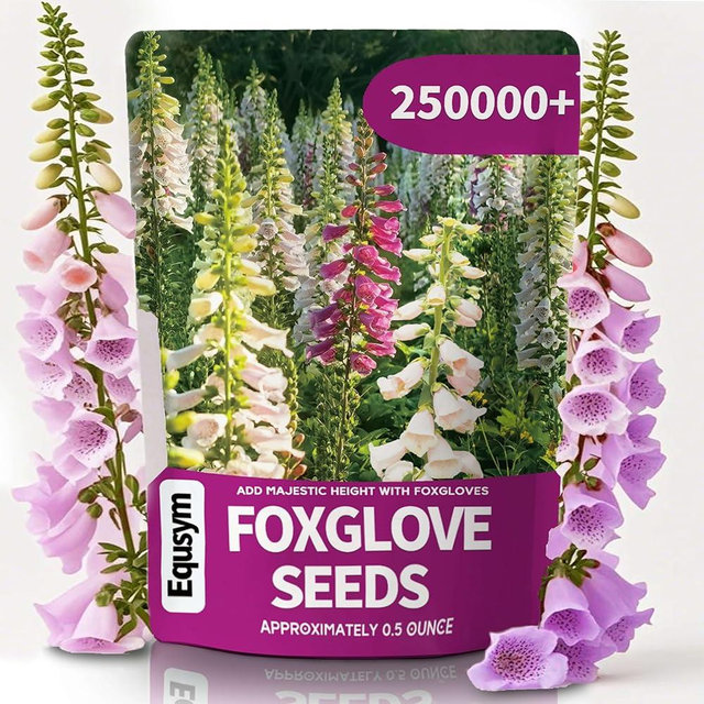 250,000+ Foxglove Seeds Bulk Pack - Tall Spire Blooms, Mixed Colors for Garden Borders, Easy Planting for Home Gardening - Ideal for Backyard Flower Beds, Landscaping, and Pollinator-Friendly Gardens