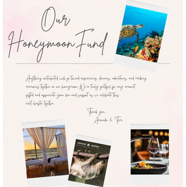 Our Honeymoon Fund