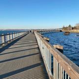 Bellingham Boardwalk