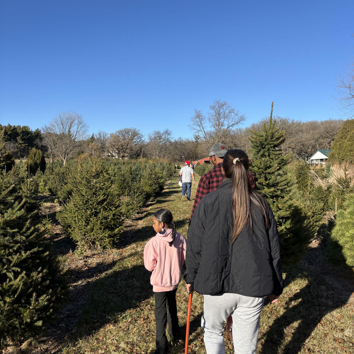 On the hunt! 🎄