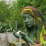 Atlanta Botanical Garden