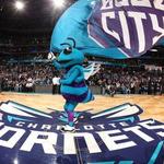 Charlotte Hornets