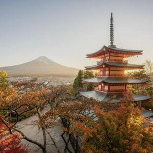 Japan Honeymoon Fund