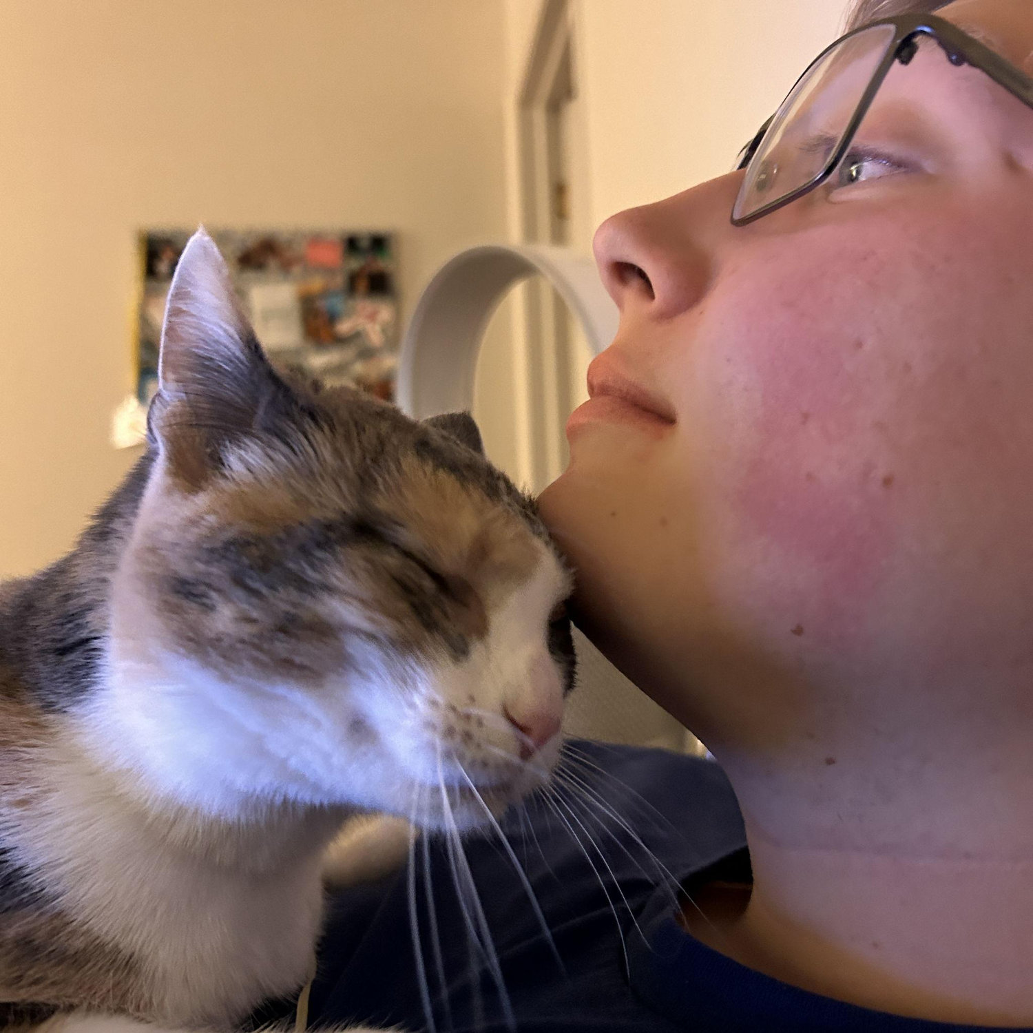 chai and seth love each other