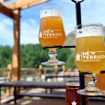 New Terrain Brewing Company