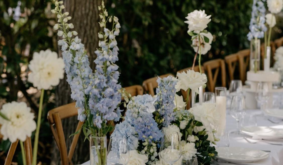 The Wedding Website of Alexis Baumhover and Jacob Banks