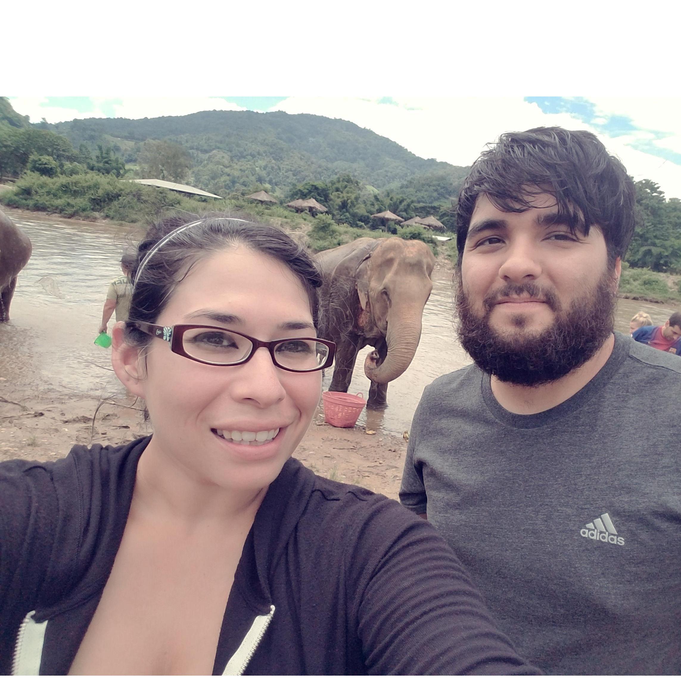 Elephant Sanctuary
