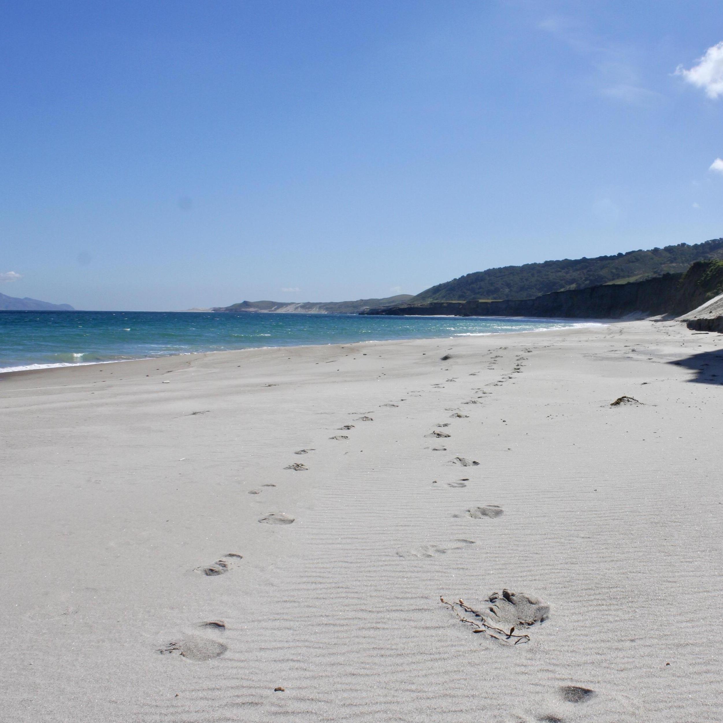 Santa Rosa - Channel Islands