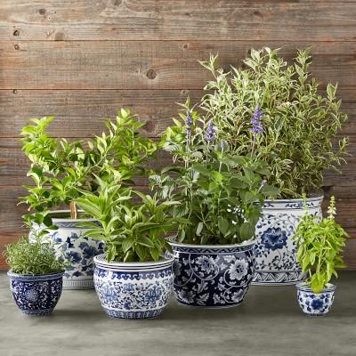 Blue & White Ultimate Planter Set