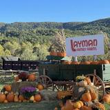 Layman Family Farms
