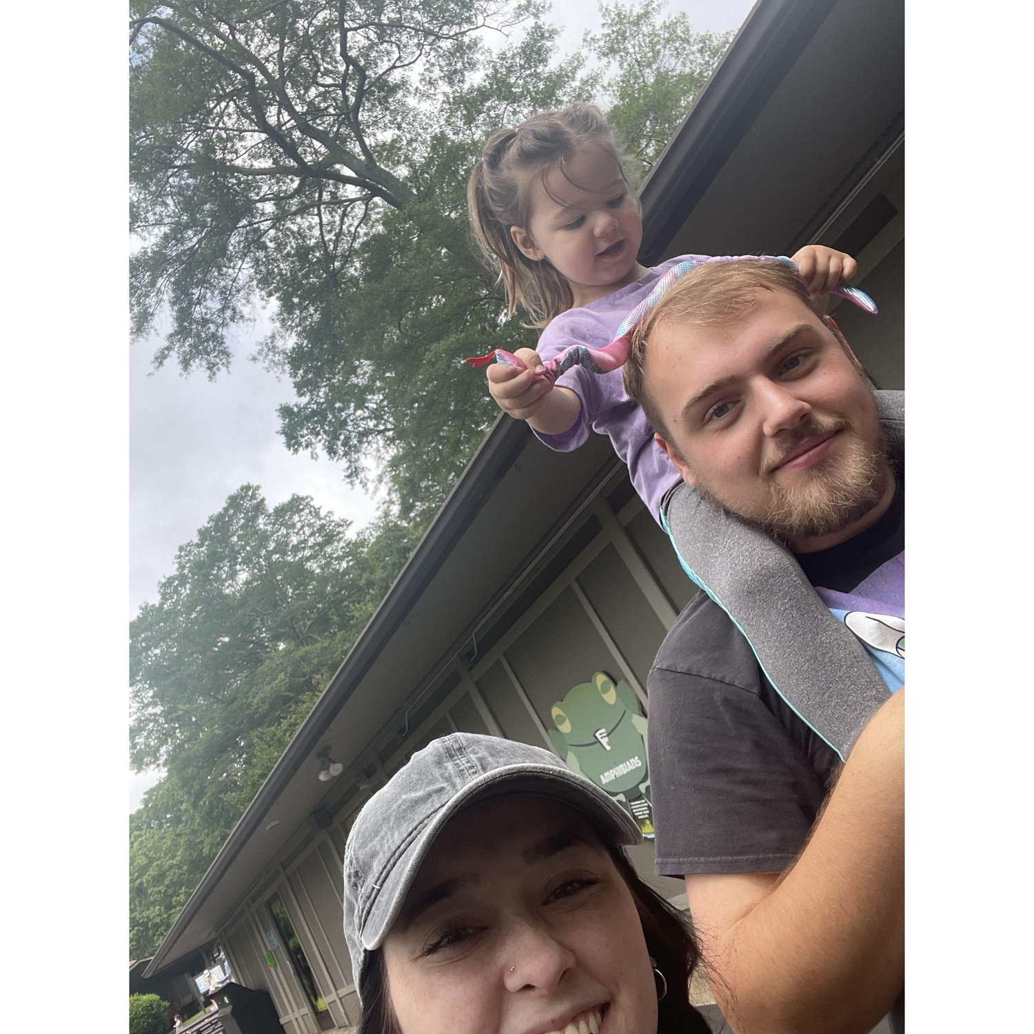 Day at the Zoo