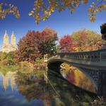 Bow Bridge Central Park