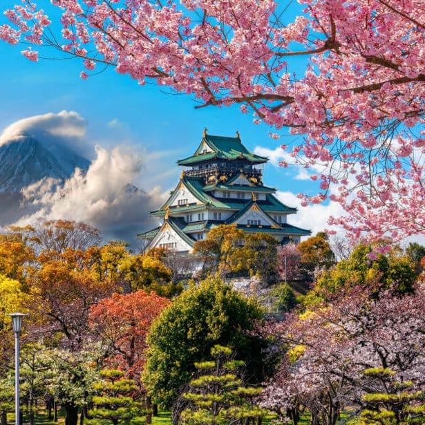 7 Night Stay In Japan