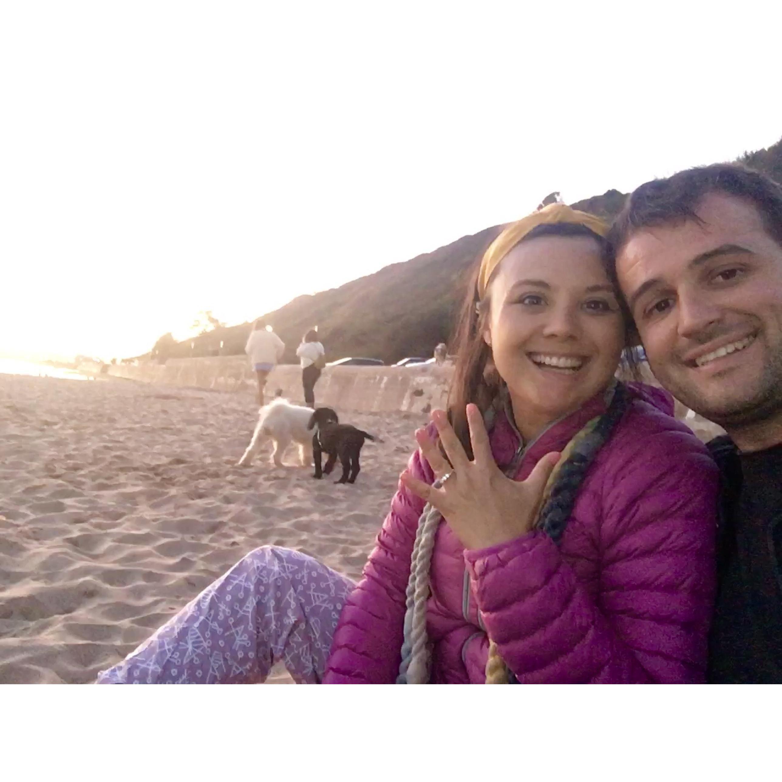 September 1st 2019 Engaged on Exmouth 💍