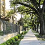 Garden District