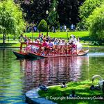 Swan Boats & Boston Common