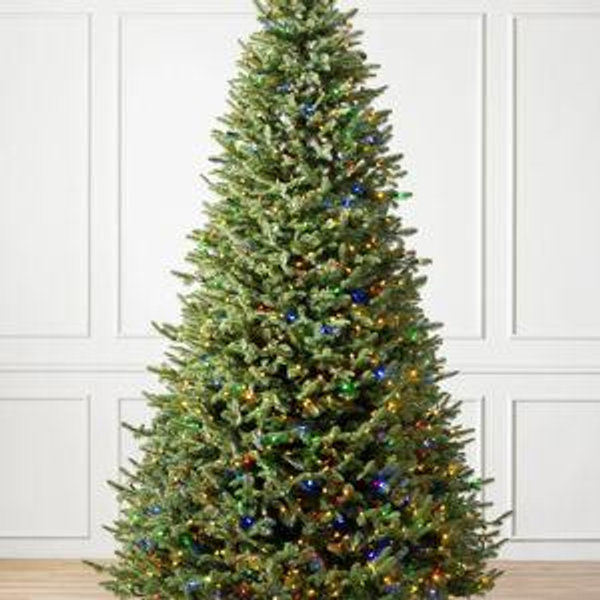 Christmas Tree Fund