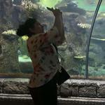 Shark Reef Aquarium at Mandalay Bay