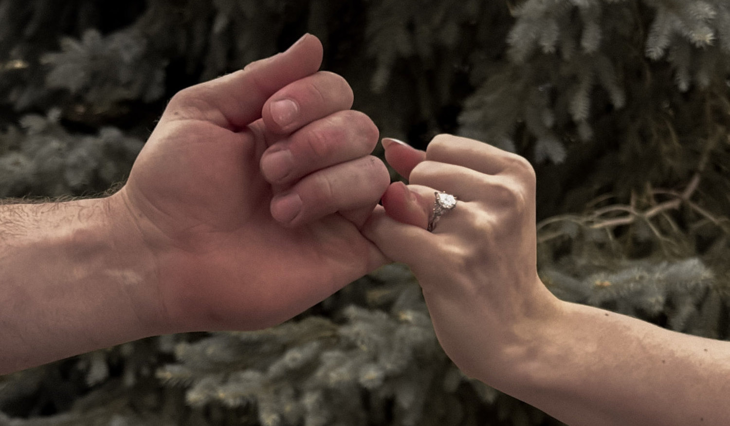 The Wedding Website of Mollie Wheeler and Truett Giles IV