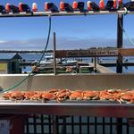Kelly's Brighton Marina LLC